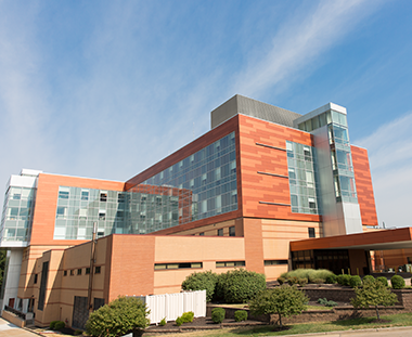 Hospital view 2