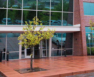 exterior of SSM Health Physical Therapy